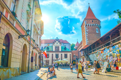 Czartoryski Palace Museum Tickets and Krakow Old Town Tour 3,5-hour: Old Town & Czartoryski Palace Tour