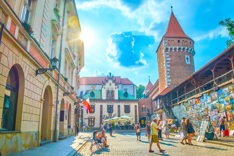 Czartoryski Palace Museum Tickets and Krakow Old Town Tour 3,5-hour: Old Town & Czartoryski Palace Tour