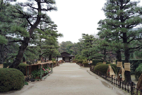 هيروشيما: جولة استكشاف الجزيرة والرحلة الروحية