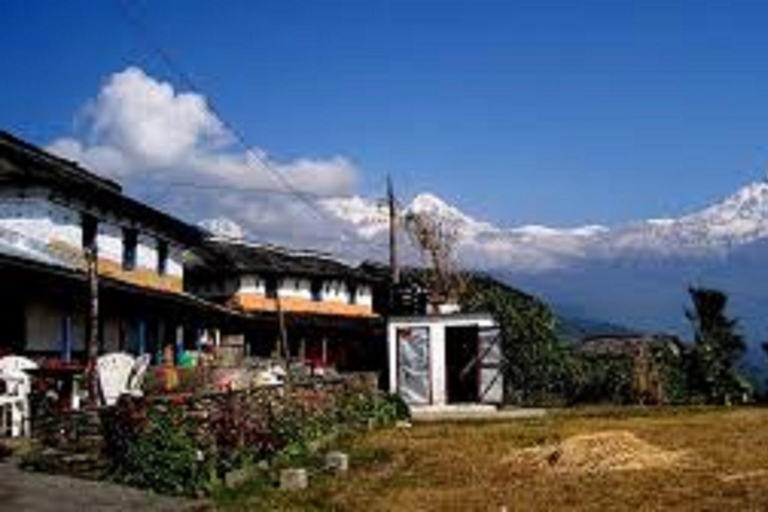 Pokhara: Geführte Tageswanderung von Dampus zum Australian Base Camp