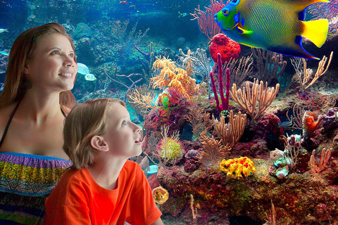 From Playa del Carmen: Complete Combo to Xcaret Park! Xcaret Park Entrance