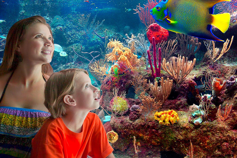 Ingresso al Parco Avventura Xcaret