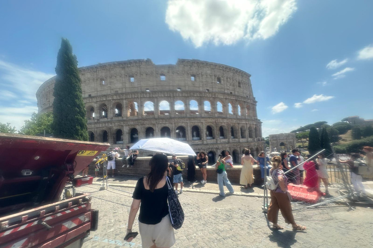 Small Group Guided Tour Colosseum Roman Forum, Palatine Hill Standard Tickets