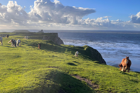 Au départ de Cardiff : Péninsule de Gower, les plus belles falaises du sud du Pays de Galles