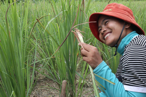 Make Essential Oil with a Village Herbalist near Phnom Penh