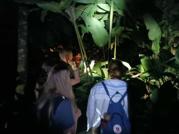 La Fortuna Arenal Rainforest Night Hiking Trip GetYourGuide