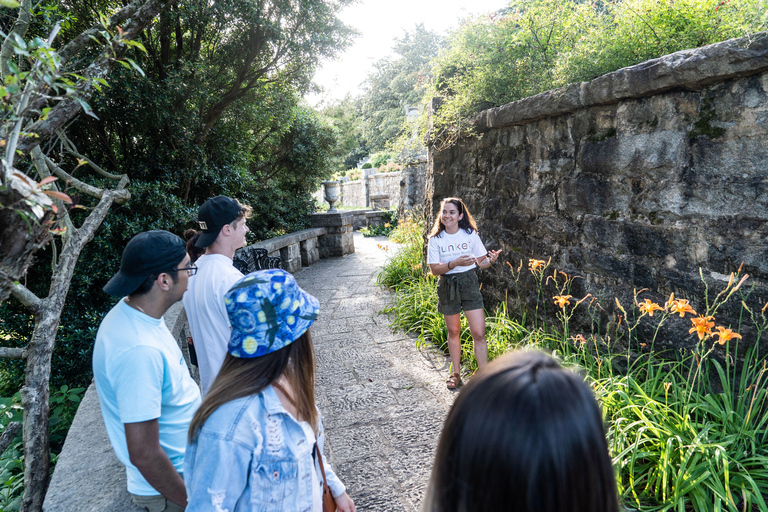 Honolulu: Tour a piedi diurno dell&#039;Isola degli Dei