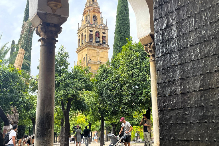 Cordoba: Hoogtepunten van de stad Privé WandeltourCordoba: Stads hoogtepunten privé wandeltour