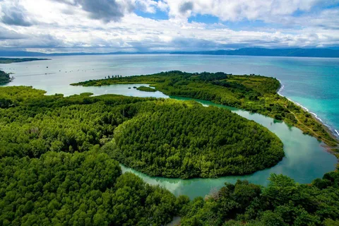 Recorrido Historico a Pie en Puerto Jimenez