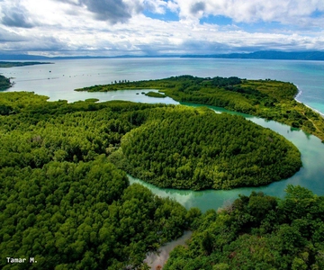 Tour storico a piedi a Puerto Jimenez
