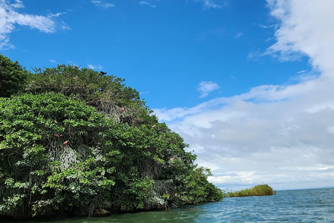 From Managua, Leon, or Granada: San Juan River Jungle Tour