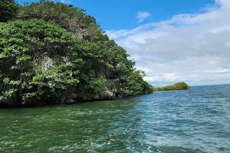 From Managua, Leon, or Granada: San Juan River Jungle Tour
