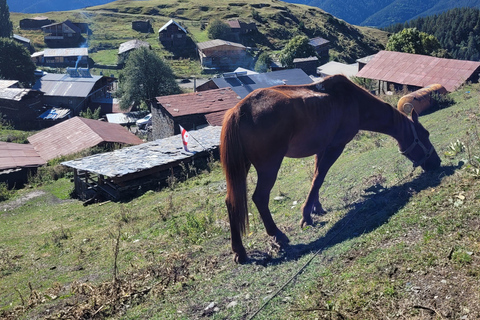 تبليسي: جولة جبال توشيتي لمدة 3 أيام مع وجبات الطعام والفندق