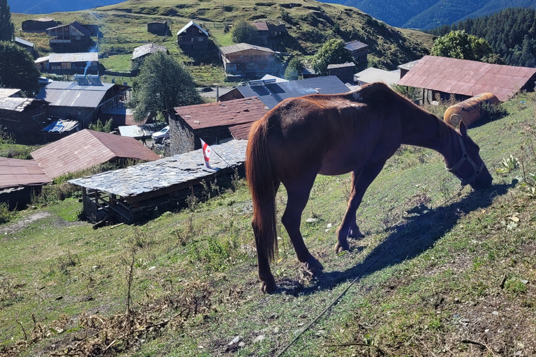 تبليسي: جولة جبال توشيتي لمدة 3 أيام مع وجبات الطعام والفندق