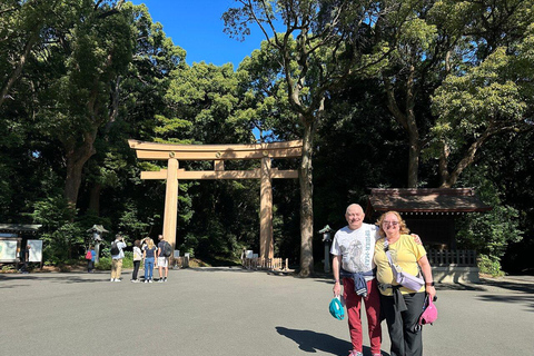 Tokyo Tour Privado En Coche Personalizado Con Guía (Tour en Coche)8 horas en coche