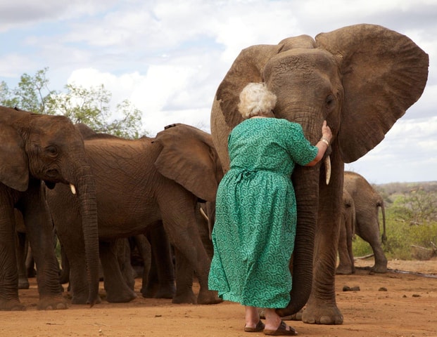 From Nairobi: Karen Blixen, Giraffe Centre and Baby Elephant