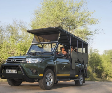Kruger National Park Game Drive (halvdag PM)
