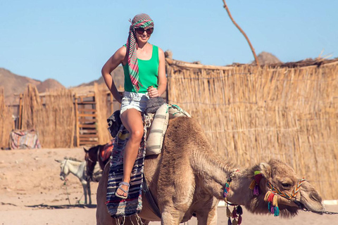 Marsa Alam: Desert Stargazing Tour with Camel Ride &amp; Dinner