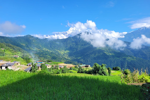 Pokhara: dagwandeling naar het Australische kamp en het dorp Dhampus