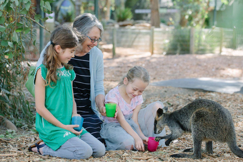 Sydney: Featherdale Wildlife Park Private Tour