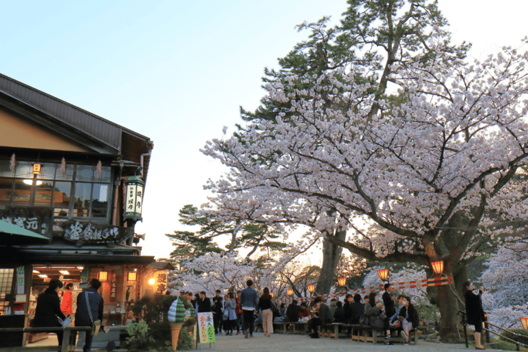 Private & Unique Kanazawa Cherry Blossom "Sakura" Experience
