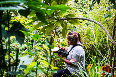 Punta Cana: tour a pie guiado por las montañas de Anamuya
