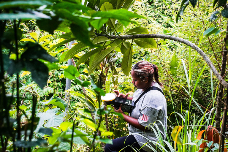Punta Cana: tour a pie guiado por las montañas de Anamuya