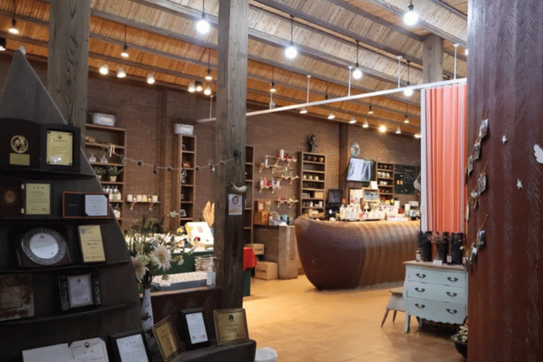 Jeju: Eastern Spring Canola & UNESCO Tour & Herb Garden