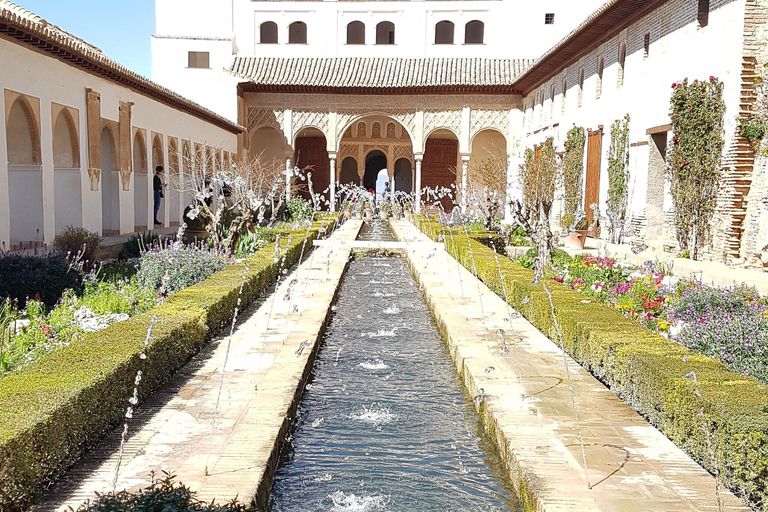 Alhambra: szybkie zwiedzanie ogrodów Generalife i AlcazabyAlhambra: ogrody Generalife i Alcazaba w trybie przyspieszonym