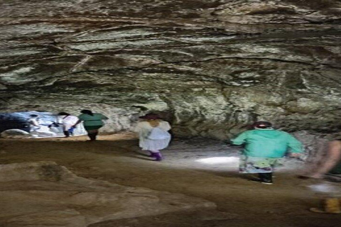 Santa Cruz: Giant Tortoise Watching and Lava Tunnels Tour