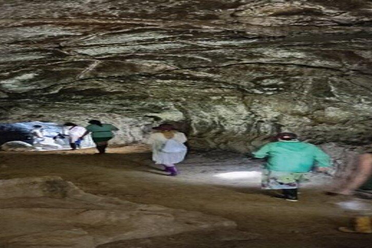 Santa Cruz: Giant Tortoise Watching and Lava Tunnels Tour