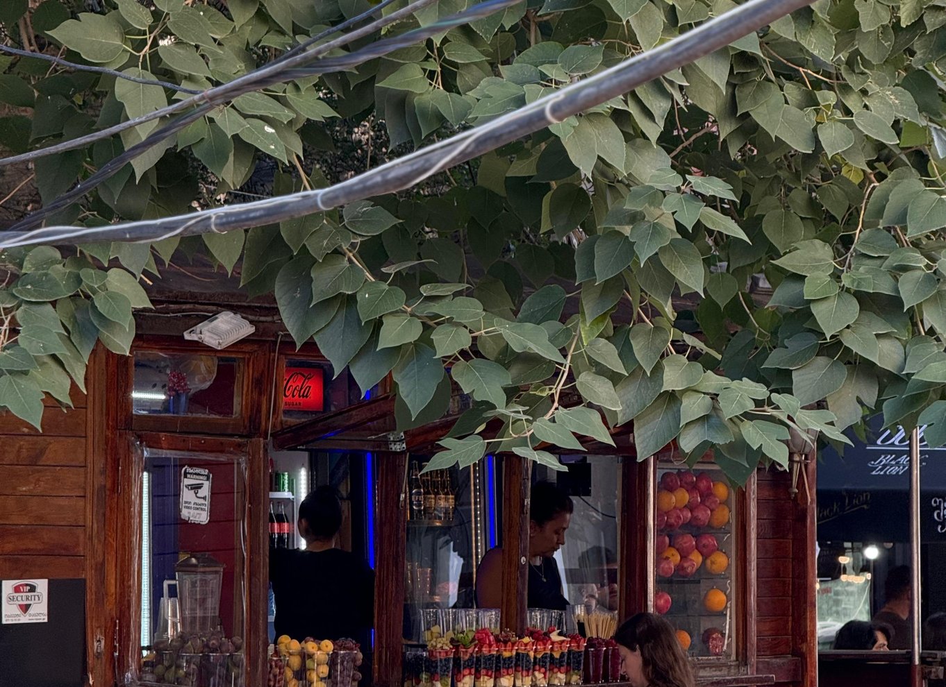 Oplevelse med byvandring i Tbilisi, vinsmagning og bådtur på floden