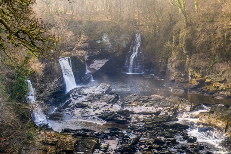 Hike World Heritage Reserve Waterfalls