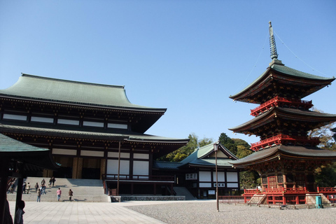 NARITA : Visite à pied, rue Omotesando, temple Narita-san