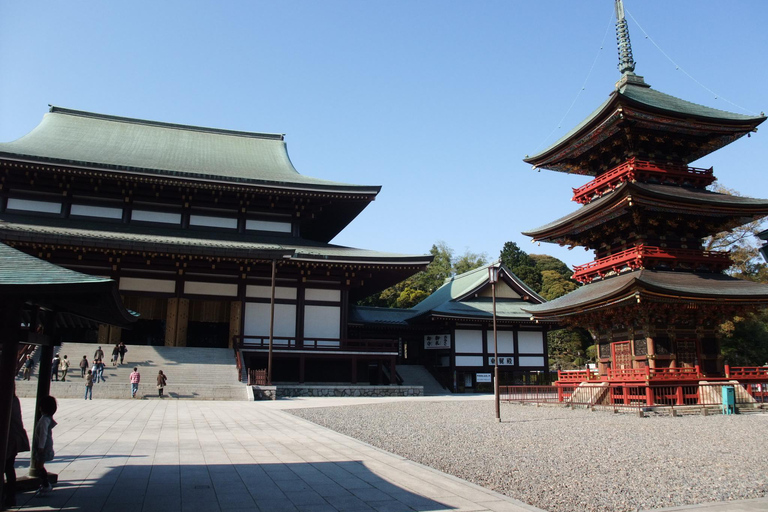 NARITA: Wycieczka piesza, ulica Omotesando, świątynia Narita-san