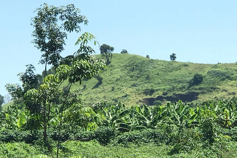 Long Tan, Nui Dat & Long Phuoc Tunnels Day Tour From Vung Tau: Long Tan & Nui Dat Battlefield