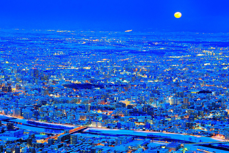 Sapporo Winter Adventure: Lake Toya & Mt. Moiwa Night View