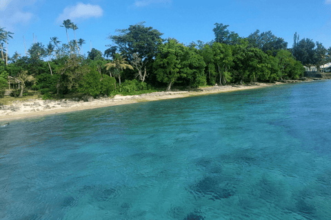 Sporty wodne Port Vila: Przygoda z nurkowaniem na potrójnej rafiePort Vila: Przygoda z nurkowaniem na potrójnej rafie