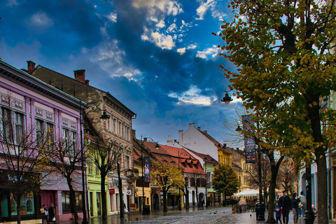 Desde Bucarest: Descubre la Transilvania medieval en una excursión de 3 días