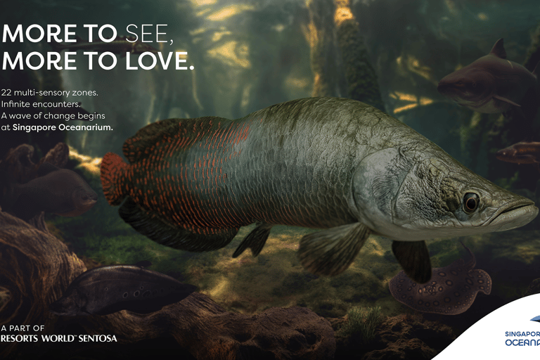 Singapur: Bilet wstępu do Oceanarium w SingapurzeBilet wstępu poza godzinami szczytu