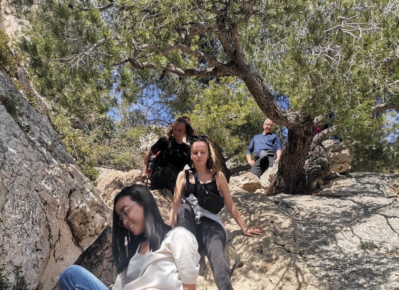 Marseille: Guidet vandretur i Calanques Nationalpark med picnic