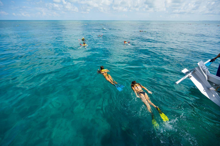 Key West: Snorkel em catamarã com mariscos e open bar