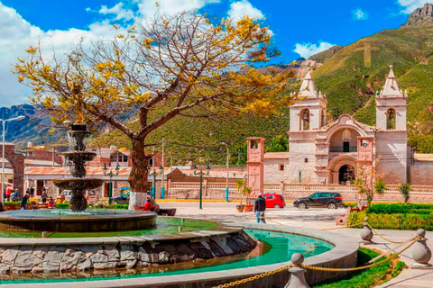 Desde Arequipa: Tour de 1 día al Cañón del Colca + Desayuno