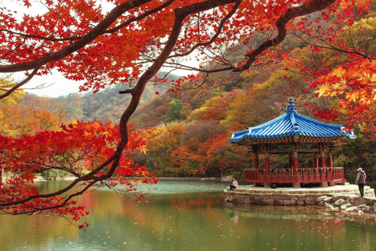 Naejangsan Autumn Foliage Day Tour from Seoul and Busan Group tour, departure from Haeundae Station Exit 5 (Busan)
