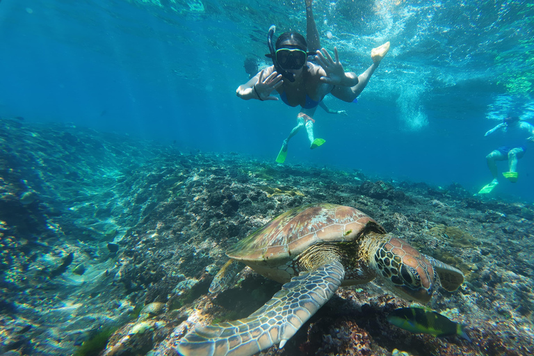 Nusa Penida: Manta Ray & Blue Coral Snorkeling Adventure