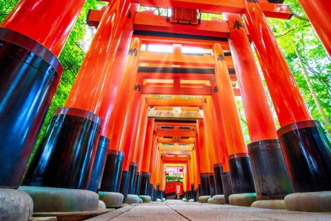 Kioto: Excursión de un día privada y personalizable en coche