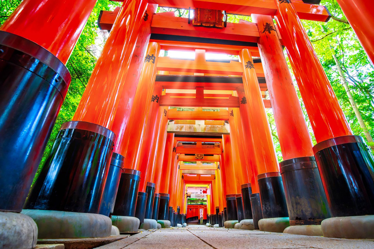 Kyoto : Excursion privée personnalisable en voiture