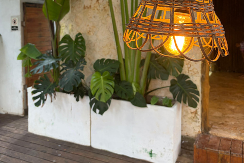 Private visit to Playa Blanca Barú with lunch included Visit Playa Blanca Baru Private with lunch included