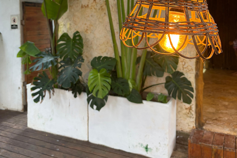 Private visit to Playa Blanca Barú with lunch included Visit Playa Blanca Baru Private with lunch included