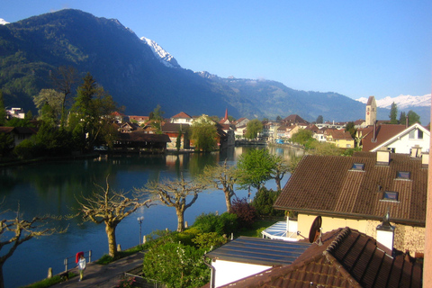 From Grindelwald: First Cliff Walk and Cable Car Tour